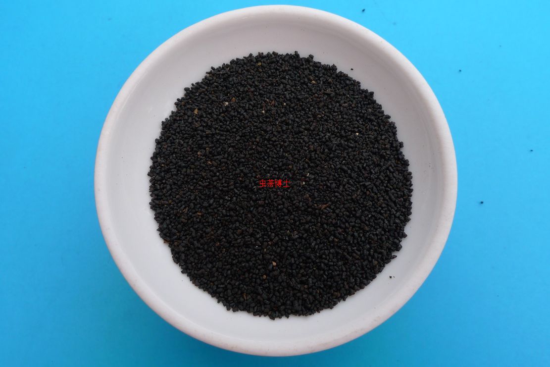 虫茶昆虫