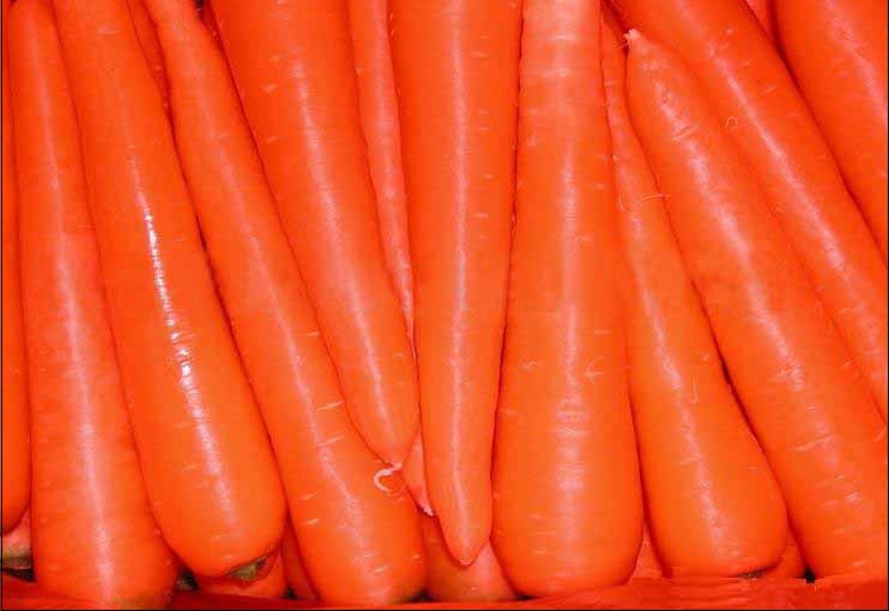胡萝卜