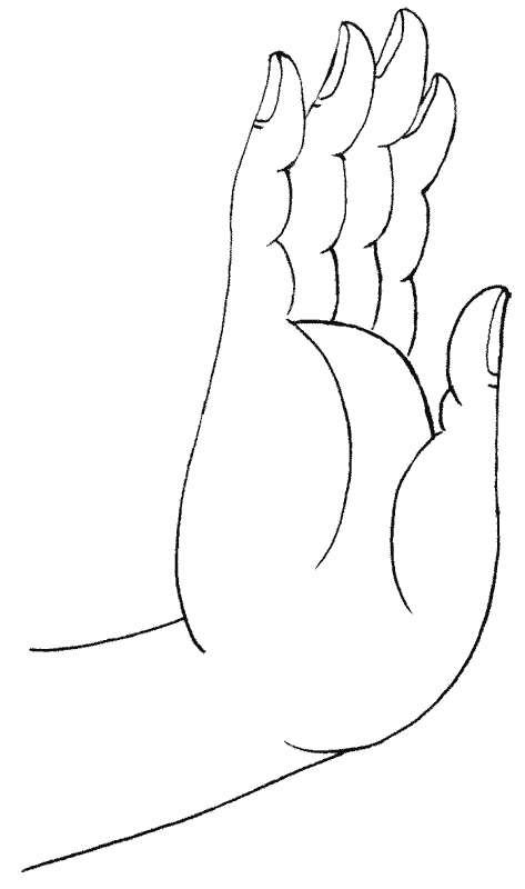  p>施无畏印,佛教手印之一.意为""或是"令人安心,平静者".