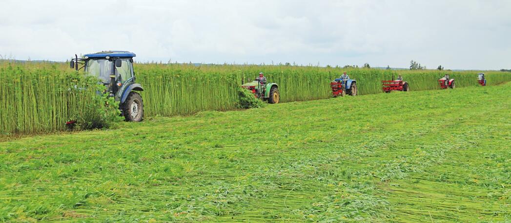  p>孙吴汉麻,黑龙江省黑河市 a target="_blank" href="/item/孙吴县