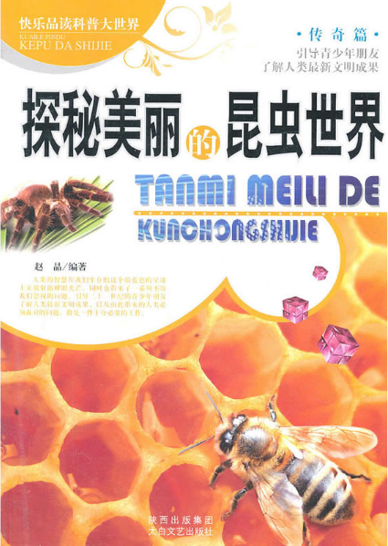 探秘美丽的昆虫世界