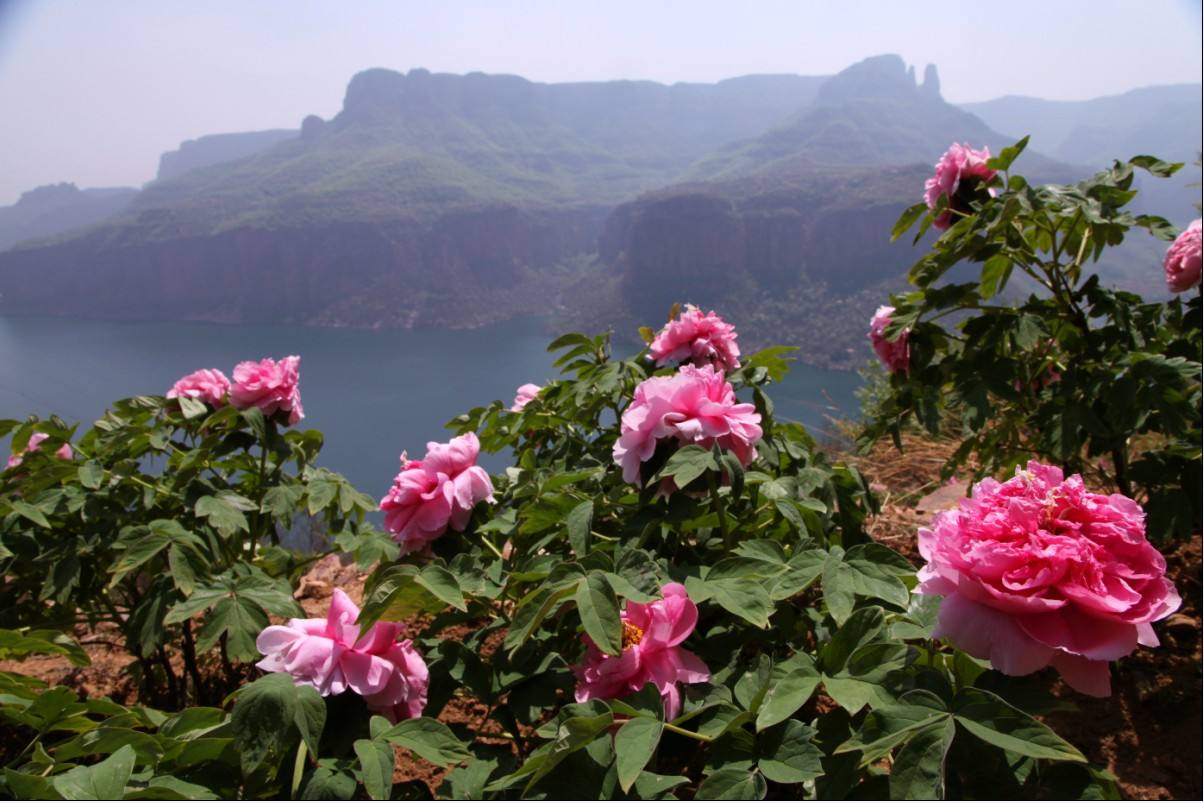 沙河桃花源风景区