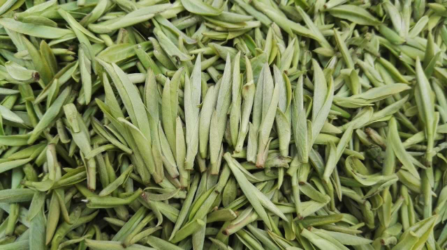  p>长兴紫笋茶,浙江省湖州市 a target="_blank" href="/item/长兴县