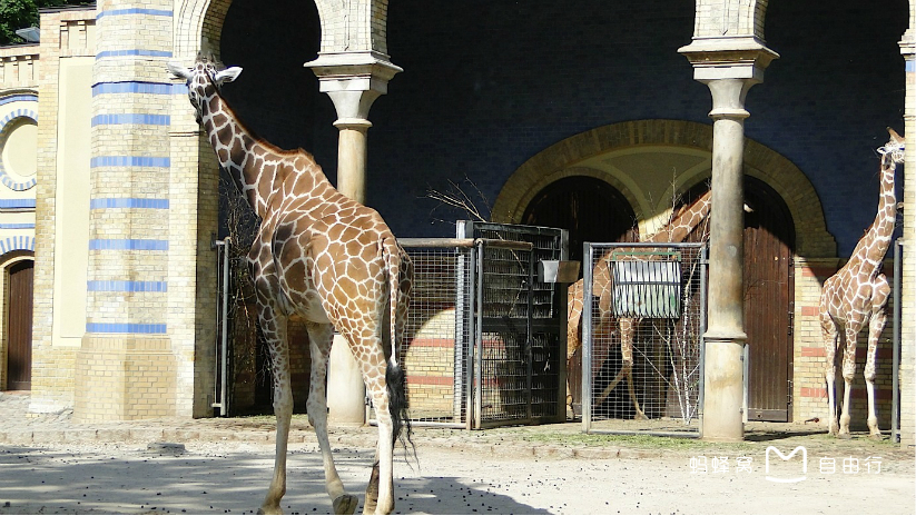 柏林动物园