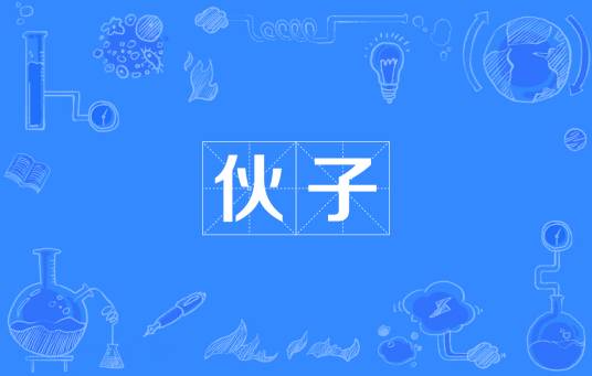 伙子_百度百科
