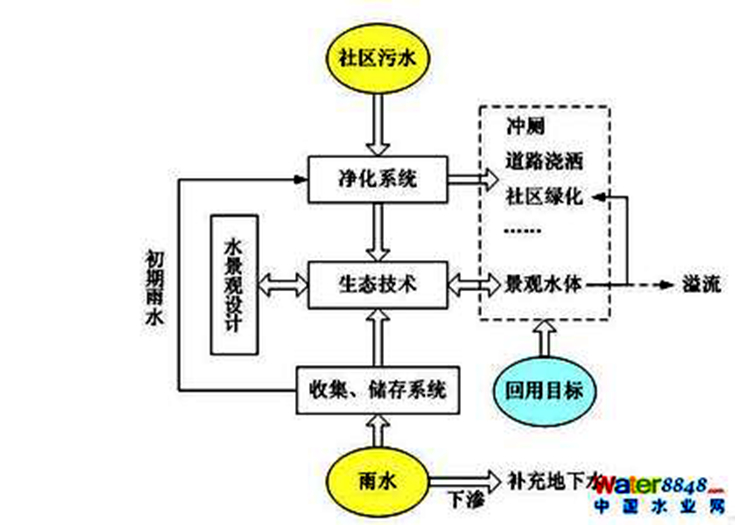 自净