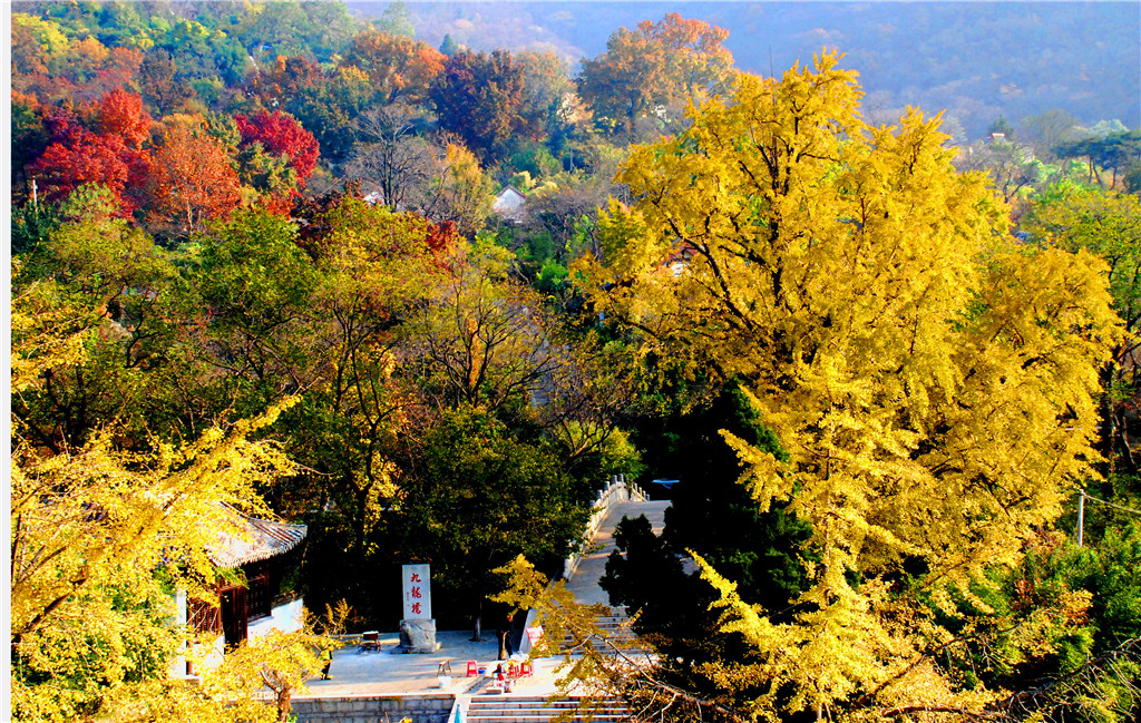 花果山公园(花果山公园图片)