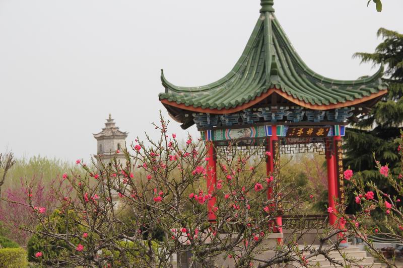 赣榆赣马高级中学