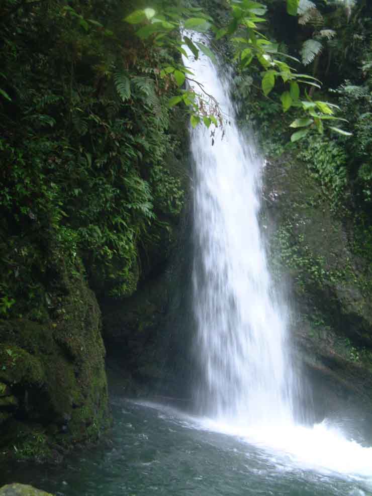天宝岩国家级自然保护区