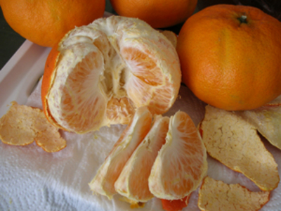 "天王柑"单粒直径可达10-13公分,重量可达600-1000