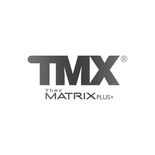 TMX_百度百科
