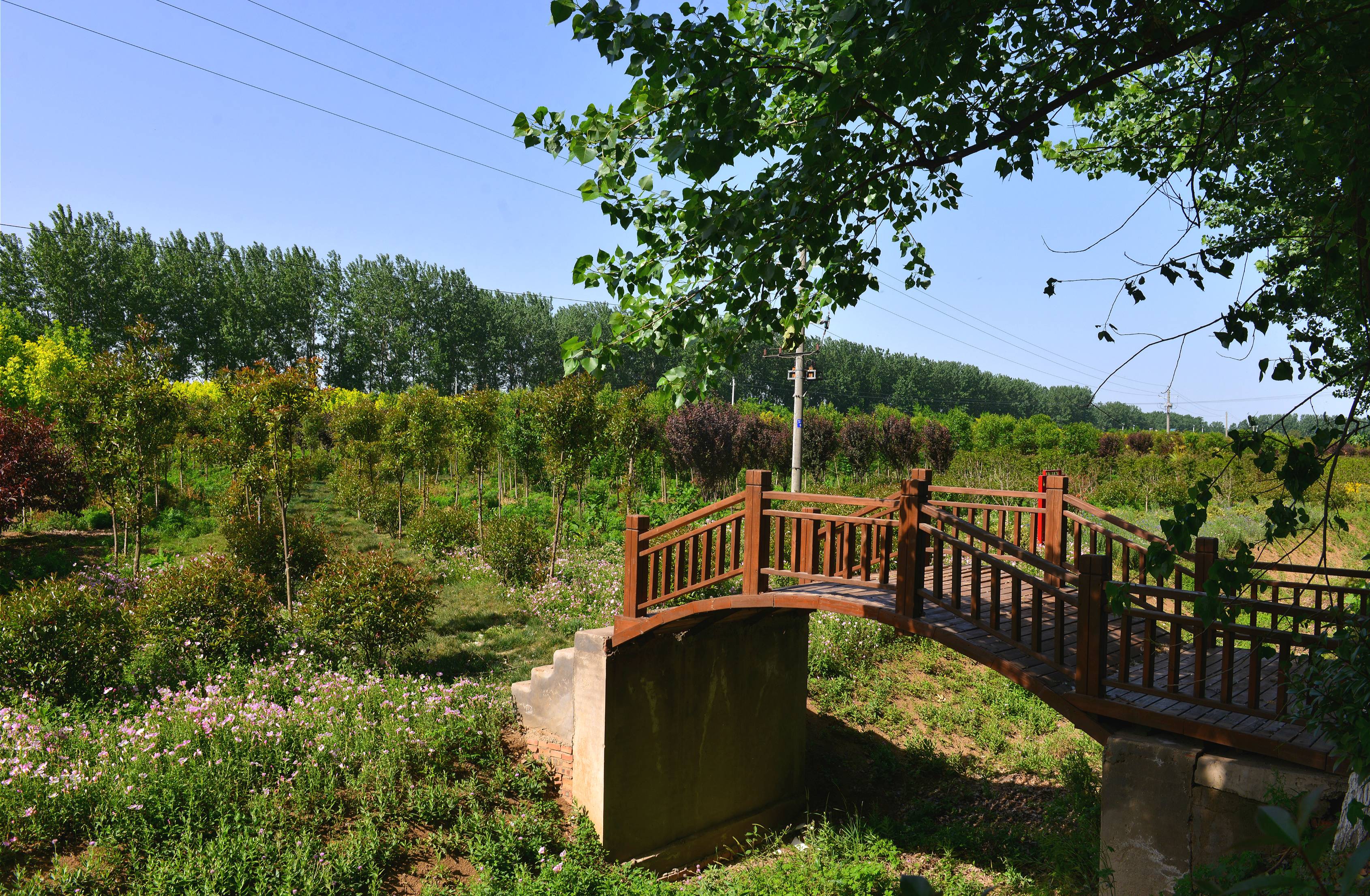  p>人和乡,隶属于河南省驻马店市西平县,地处 a target="_blank" href