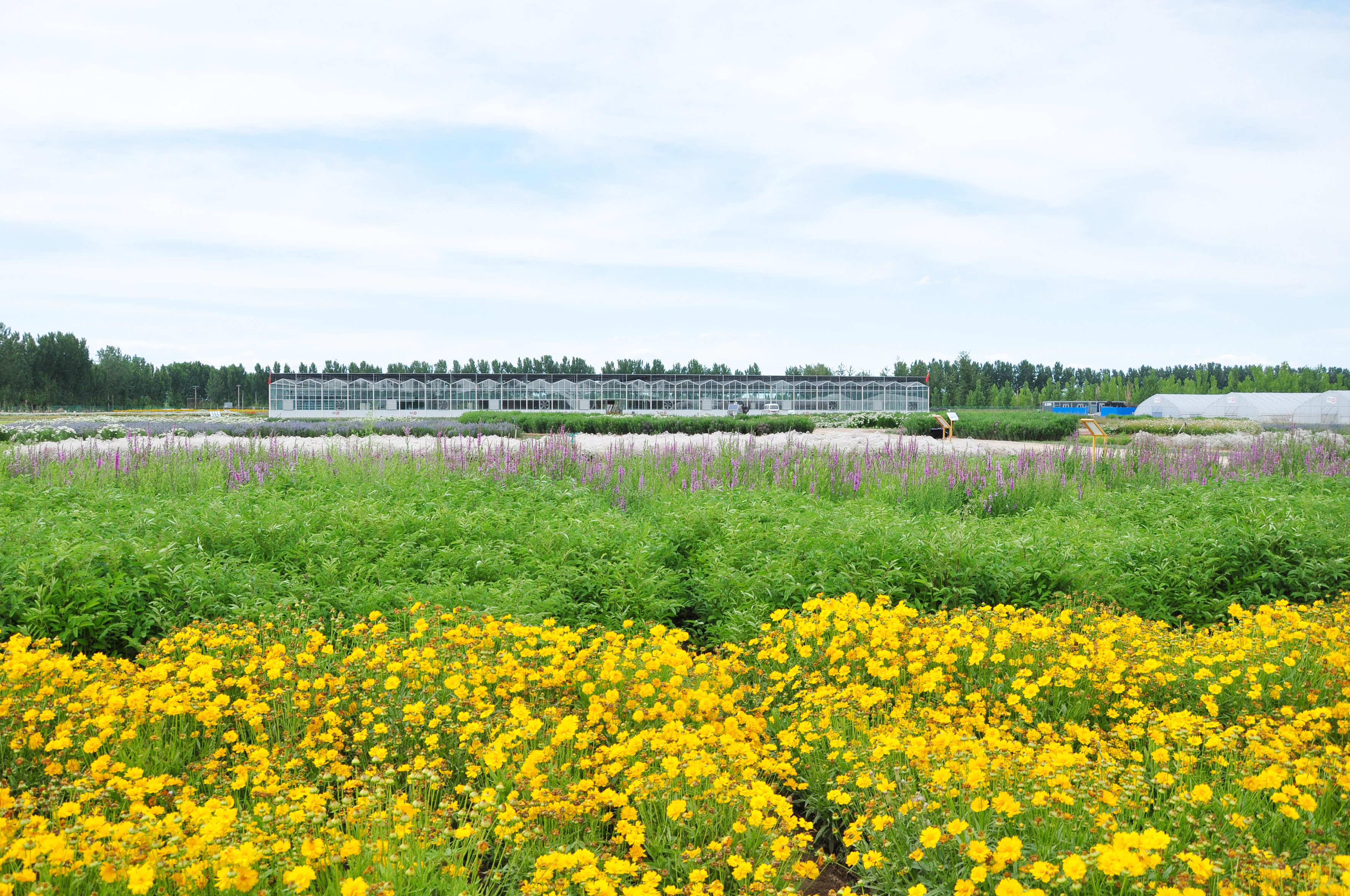蒙草生态环境(集团)股份有限公司