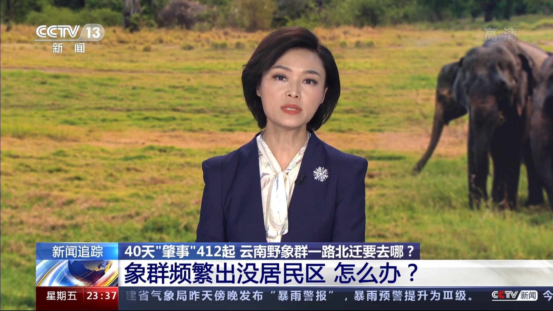  p>《24小时》是 a target="_blank" href="/item/中央电视台新闻频道