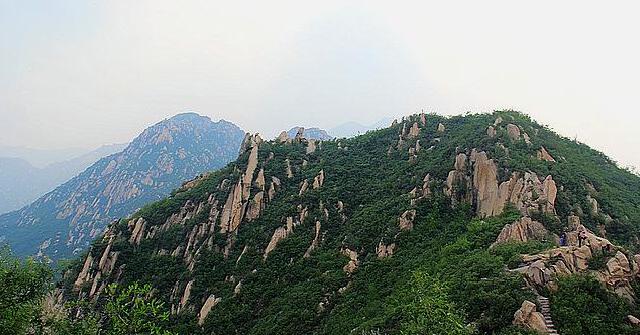 257　八十八翁　　昌平寶山　雲林院　17代　熊之助(昌平)　高さ　約23㎝ 257 八十八翁 昌平寶山 雲林院 17代 熊之助(昌平) 高さ