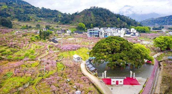 福安市_百度百科