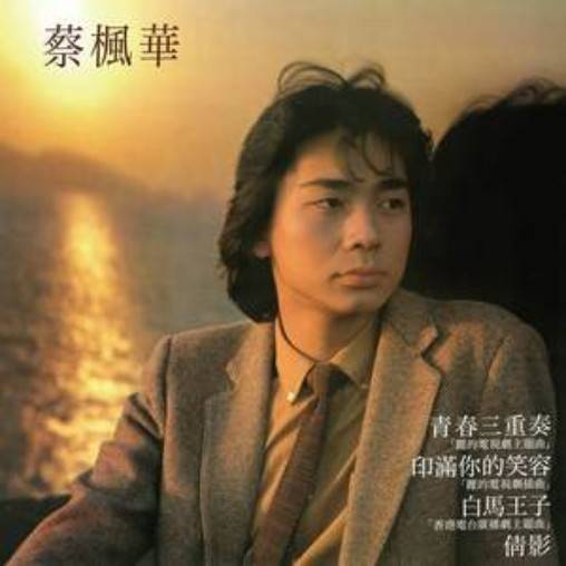 一双一对（蔡枫华演唱的歌曲）_百度百科