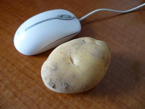 鼠标土豆