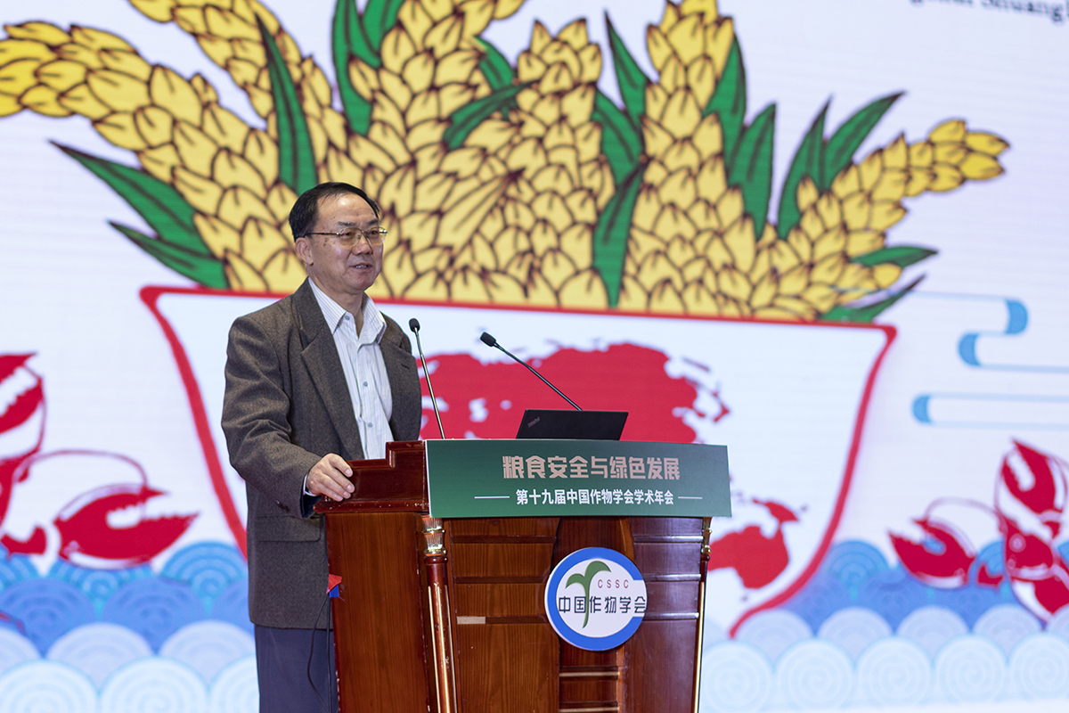 张启发（中国科学院院士、植物遗传和分子生物学家）_百度百科