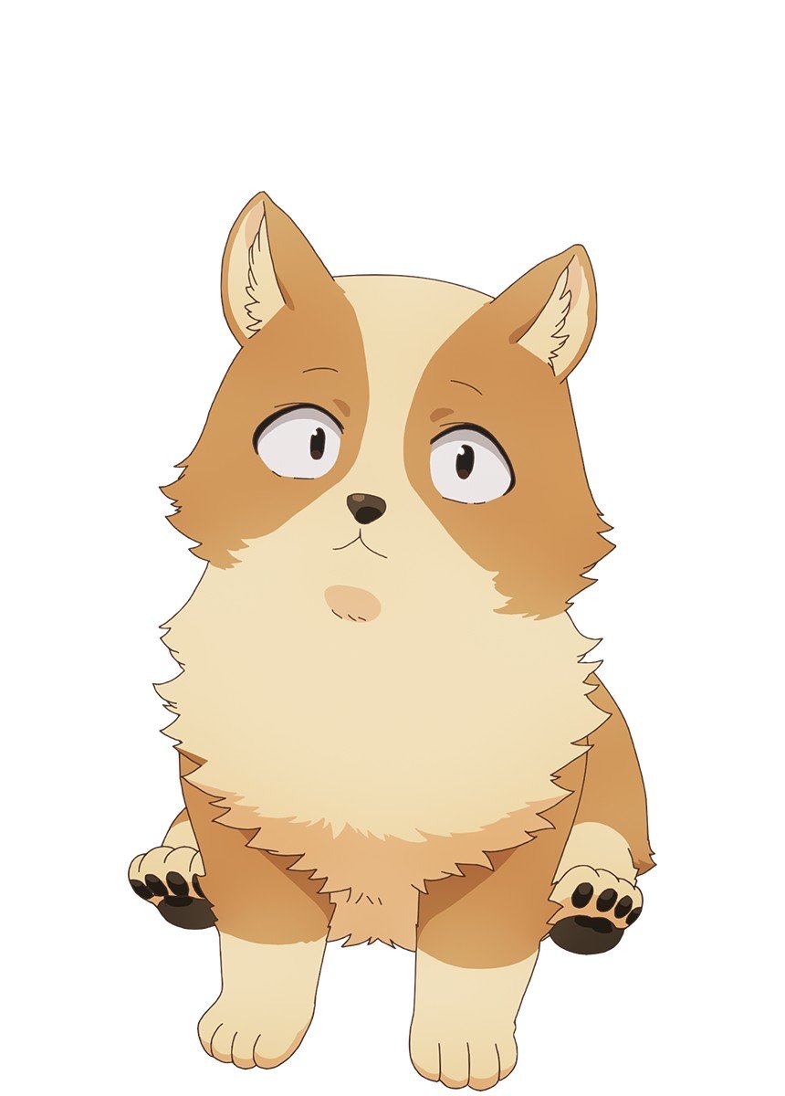 无意间变成狗,被喜欢的女生捡回家