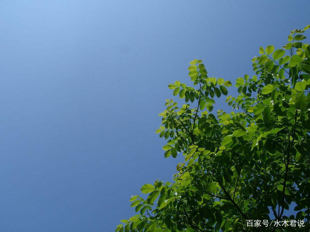 生命里最美好的春天》：一花凋零，荒芜不了整个春天_百科TA说