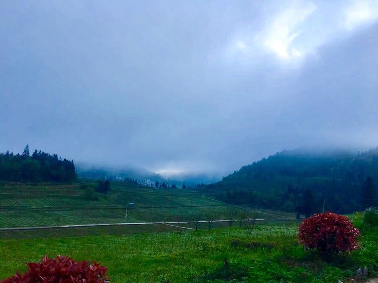  p data-id="gnhdhb93h5">白马镇,隶属于重庆市武隆区,地处 a target=