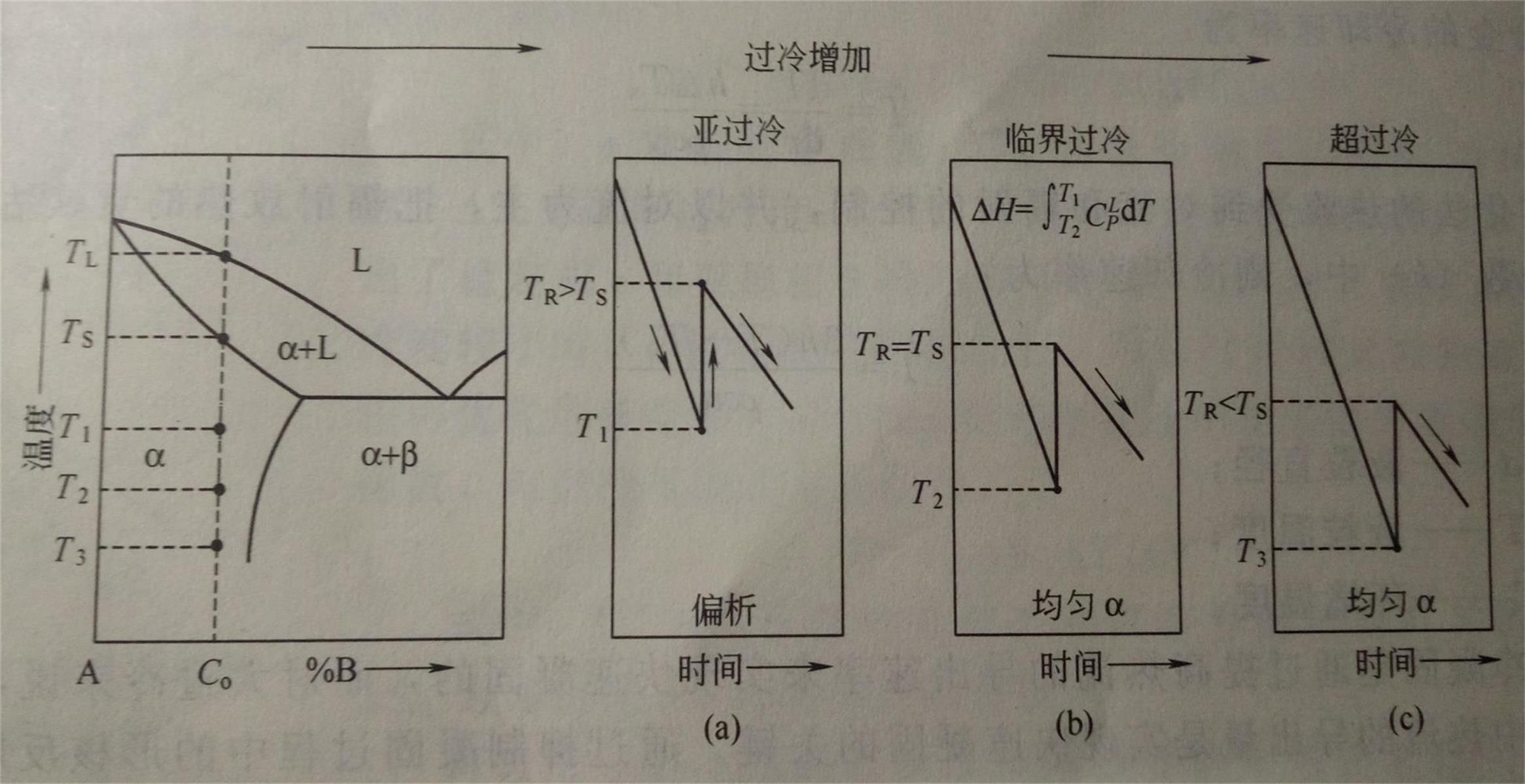 释放出凝固潜热,这些热量将通过固-液界面向固相周围的过冷熔体中散失
