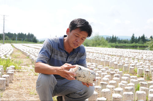 中共党员,现任 a target="_blank" href="/item/鹤北林业局">鹤北林业