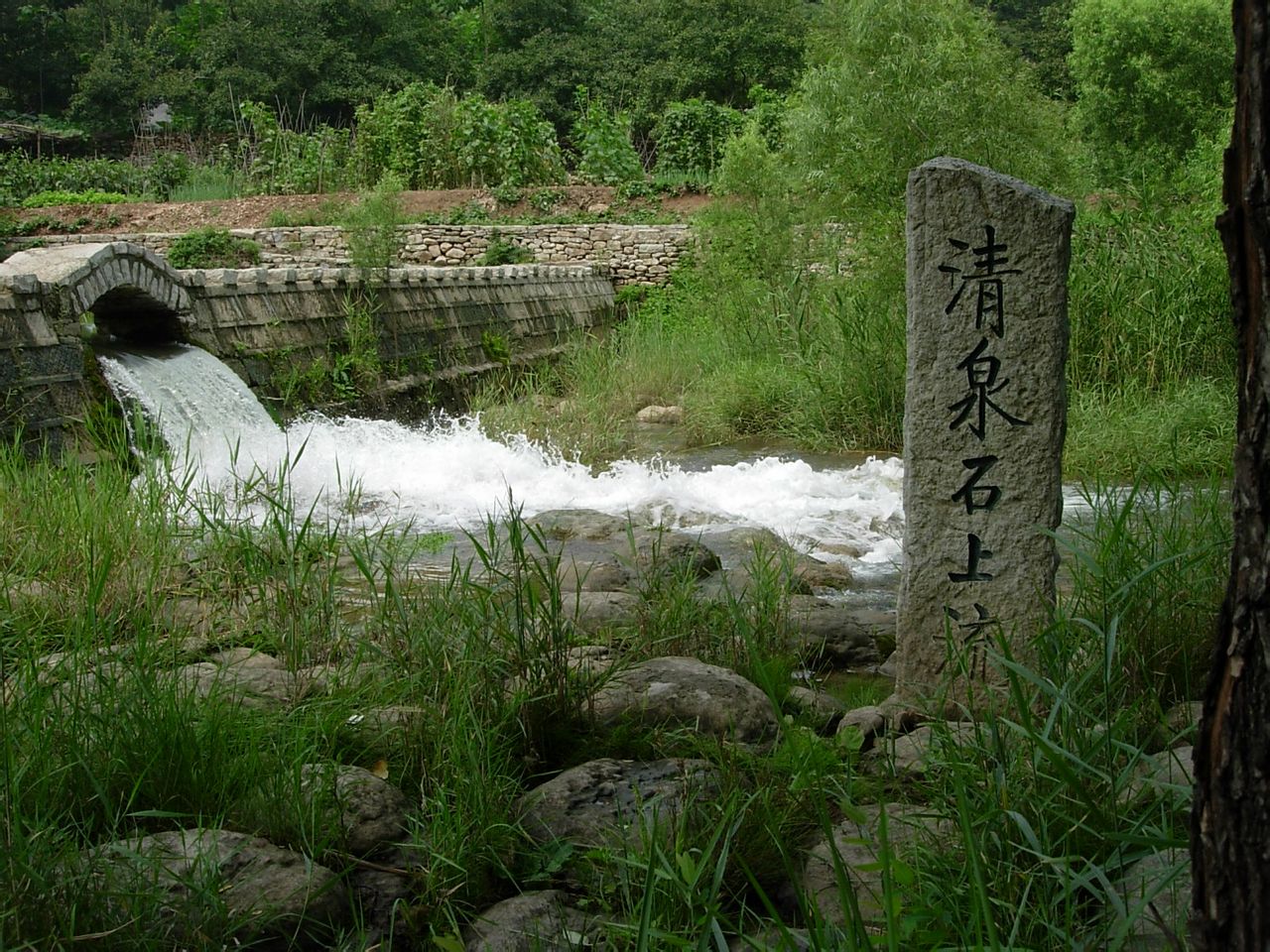  p data-id="gnx96smzd5">峨庄瀑布群位于山东省淄博市淄川区峨庄乡