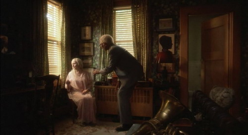 为黛西小姐开车