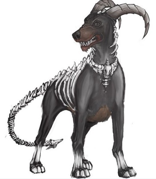 据说听到它那恐怖叫声的人都会毛骨悚然.黑鲁加是一种黑暗宝可