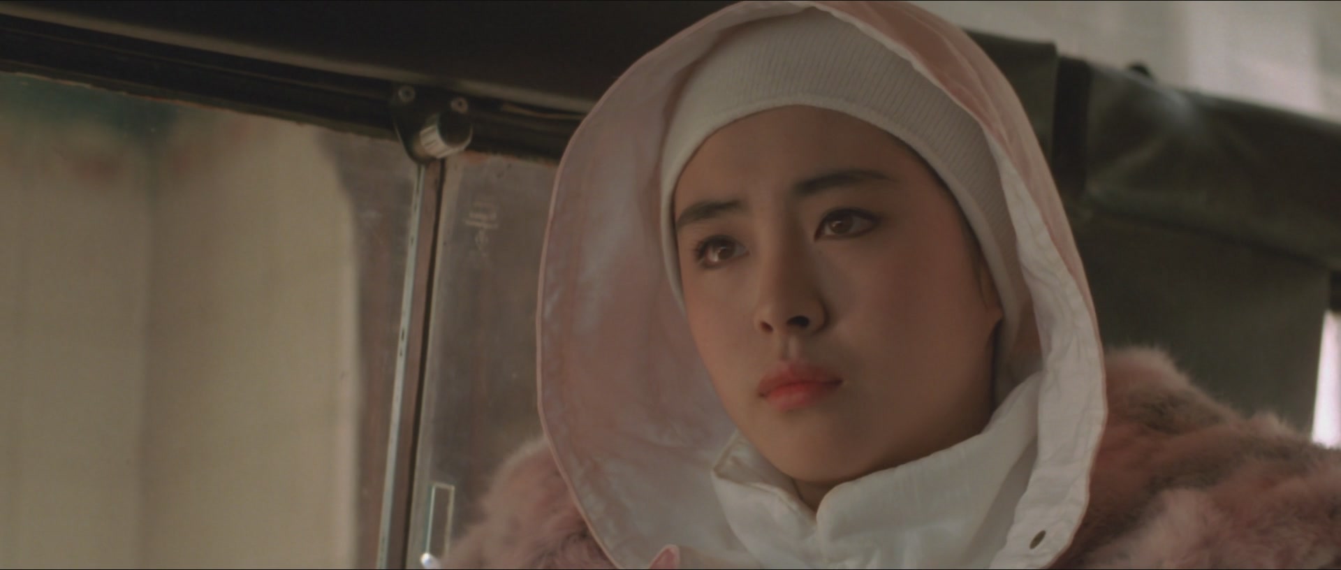 卫斯理传奇legendofthegoldenpearl(1987)