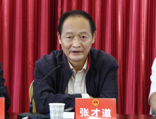 张才道（政协陕西省汉阴县第四届委员会主席）_百度百科