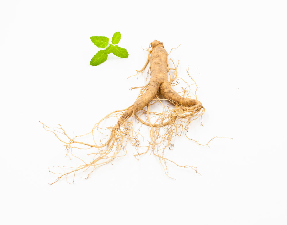  p>人参属(拉丁学名:panax l.