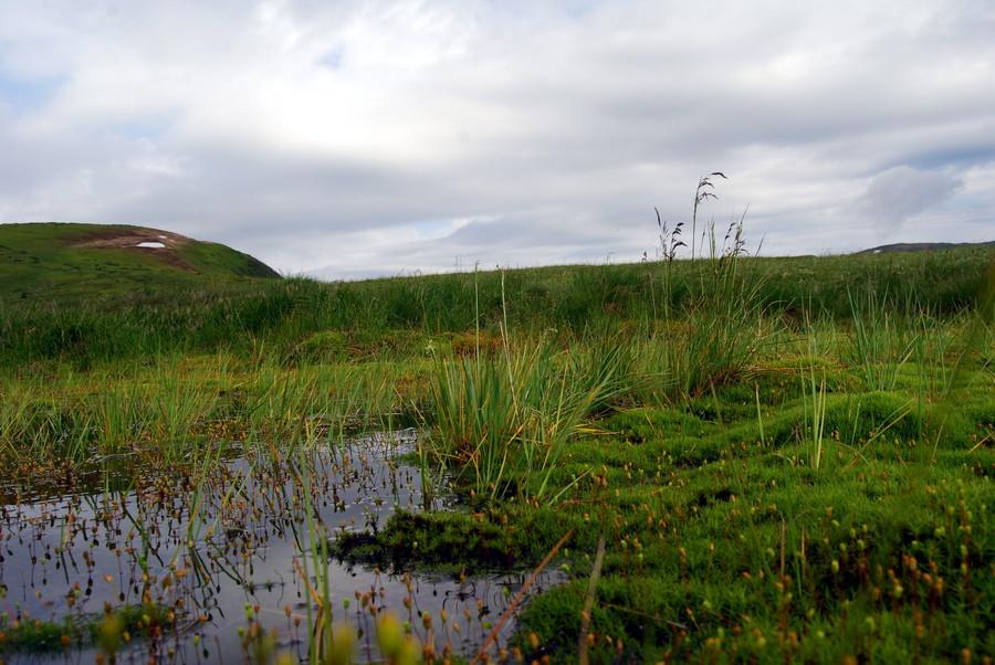 科尔沁沼泽地区