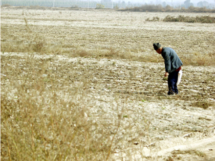 平原风沙区现状