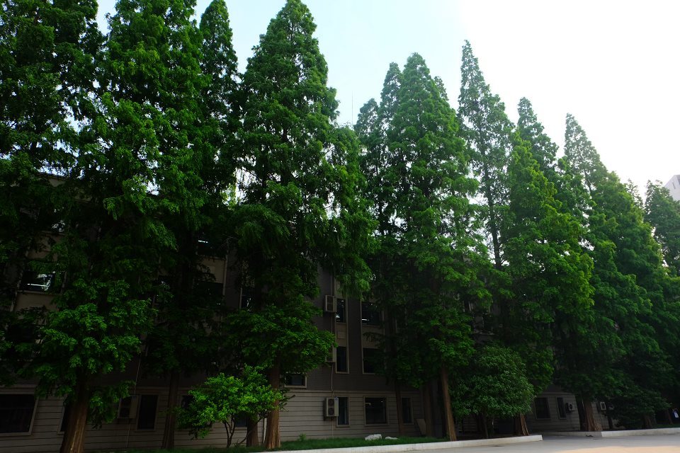 3 senior school),简称"南京三中",是一所具有百年悠久办学历史的 a