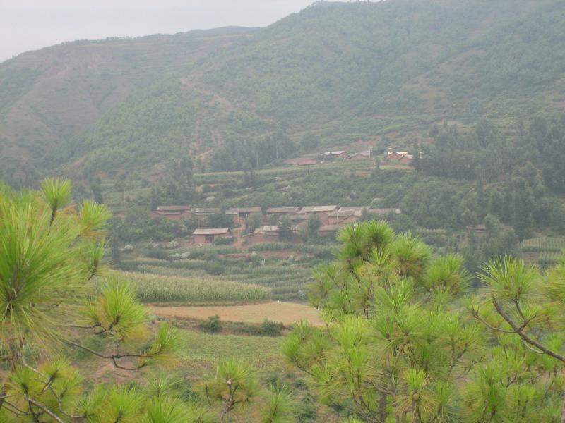  p>安家坪自然村,隶属云南省昭通市巧家县炉房乡炉房行政村,属于山区.