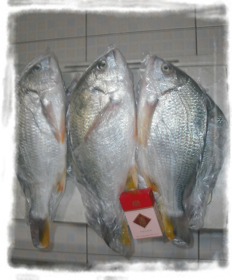  p>黄鲷是 a href="#" data-lemmaid="7626232">鲷科 /a>的一种可食用