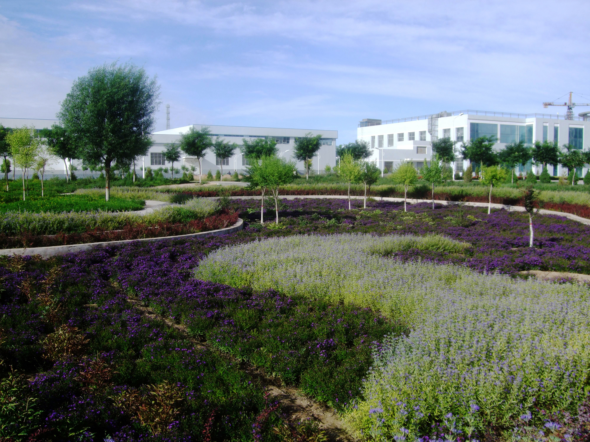 2016߿ɹŷһһβѯ_2013ɹŸ߿_ɹŴѧ