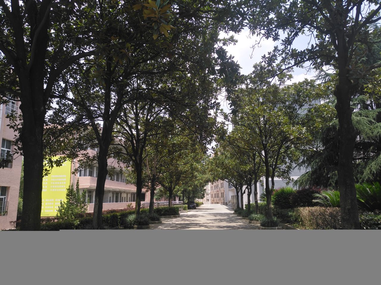  p data-id="gnhfqfikgu">娄底市第二完全中学,简称娄底二中,始建于