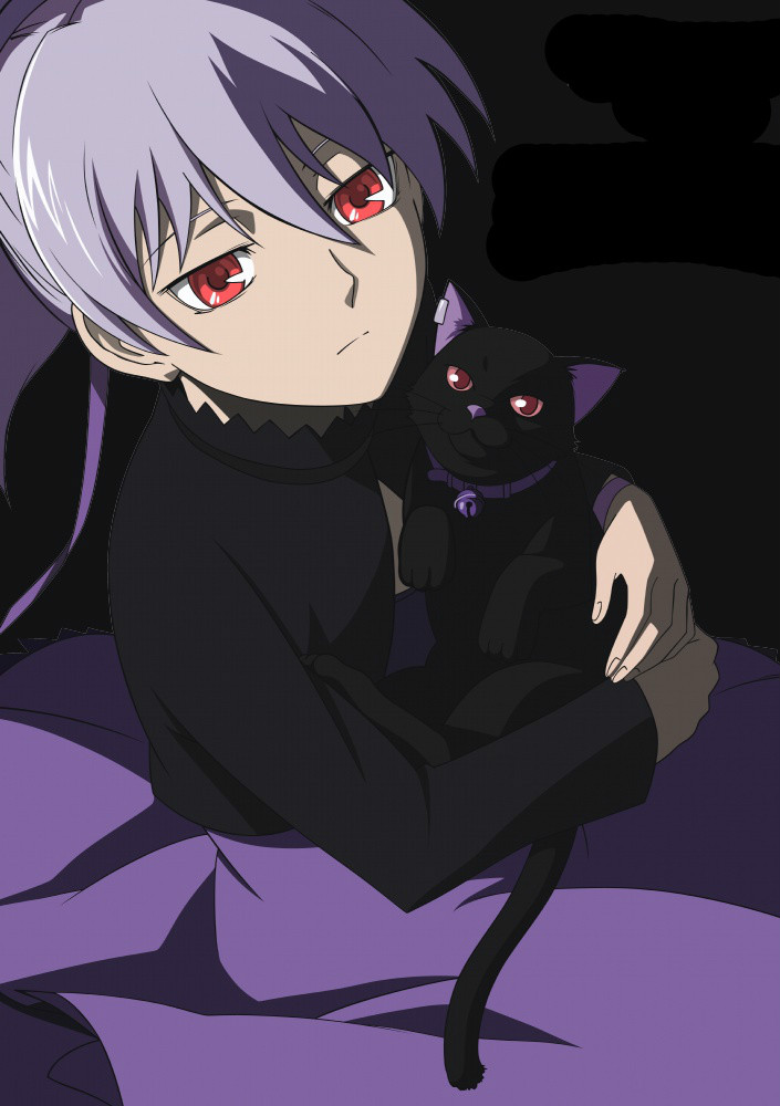 darker than black -黑之契约者