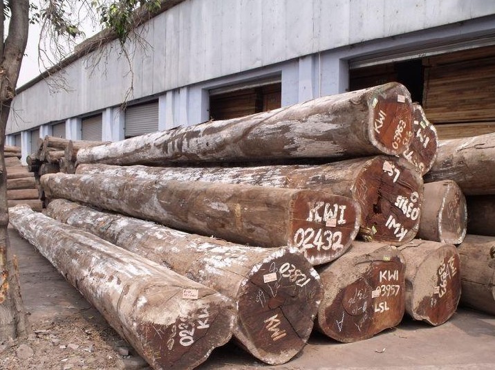  p>缅茄木,俗称:成复台,原产于加蓬,莫桑比克的优质木材,是船舶,高级