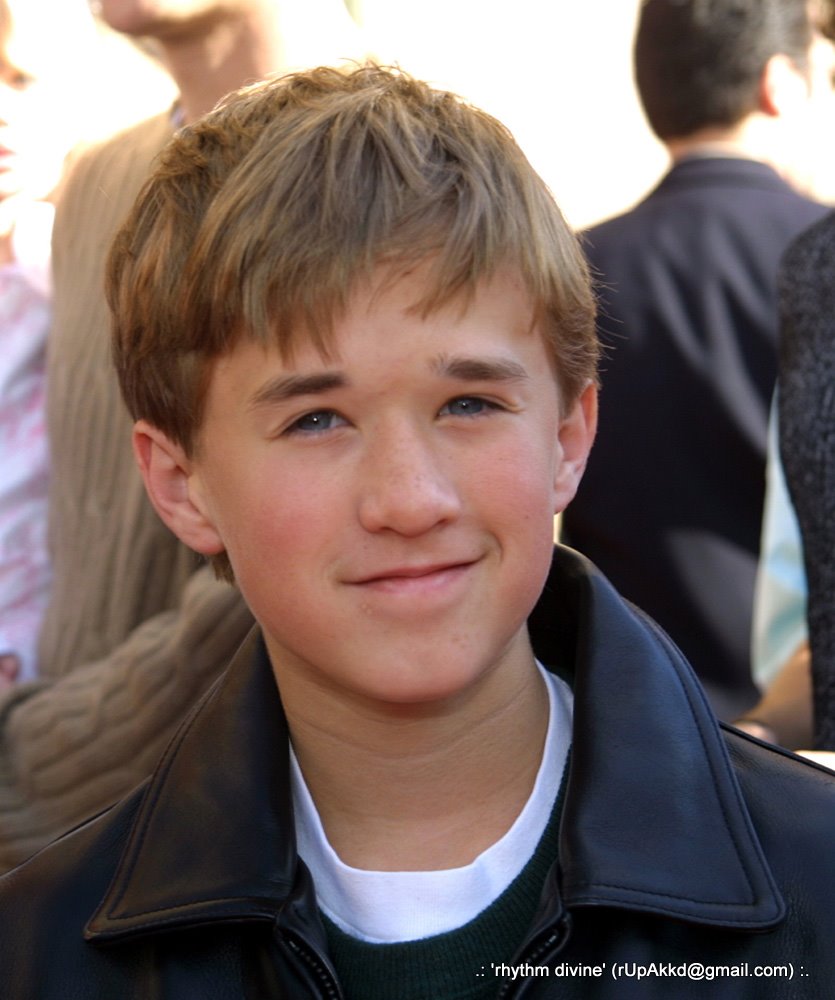 海利·乔·奥斯蒙特