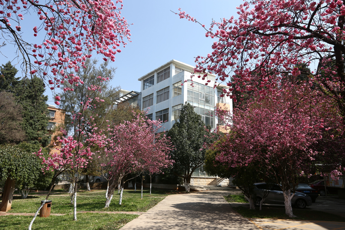  p>云南农业大学(yunnan agricultural university,yau),简称"云农大"