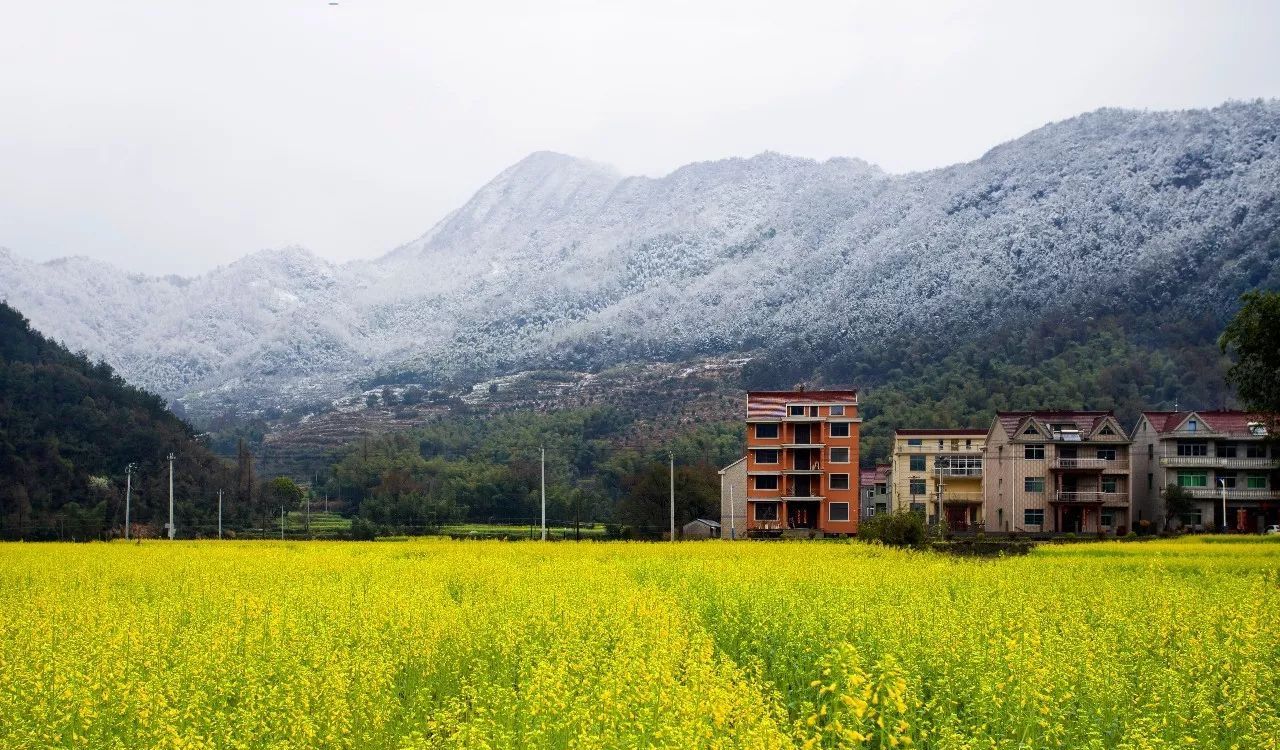  p>分水镇,隶属于 a target="_blank" href="/item/四川省/15626925"