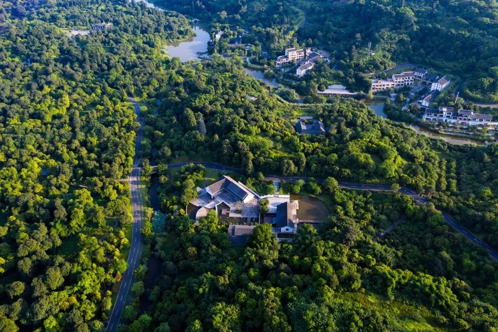 泸州张坝桂圆林风景区