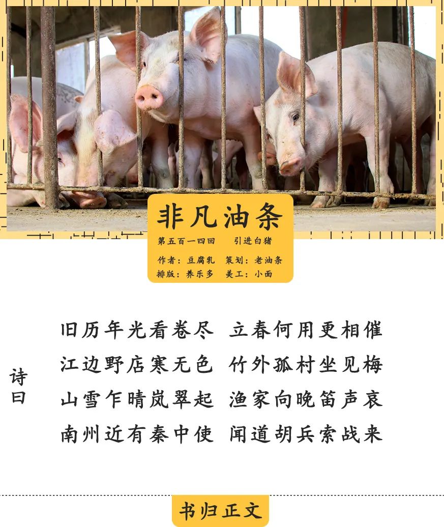 为什么要引进外国白皮猪改良血统？_百科TA说