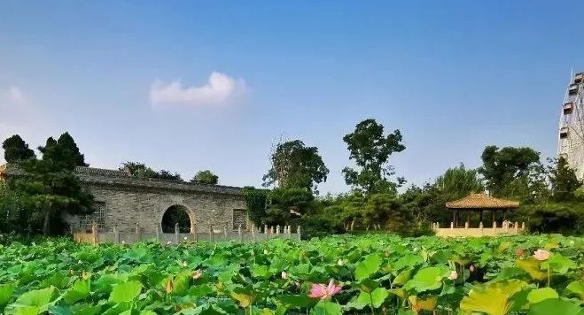 >小张庄公园位于安徽省阜阳市颍上县谢桥镇小张庄,距离颍上县城20公里