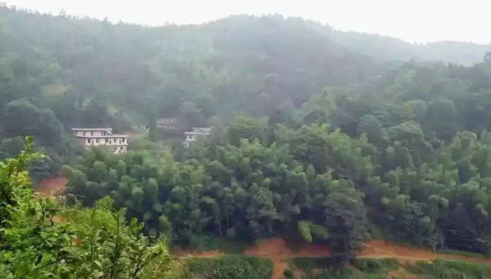 金瑞镇